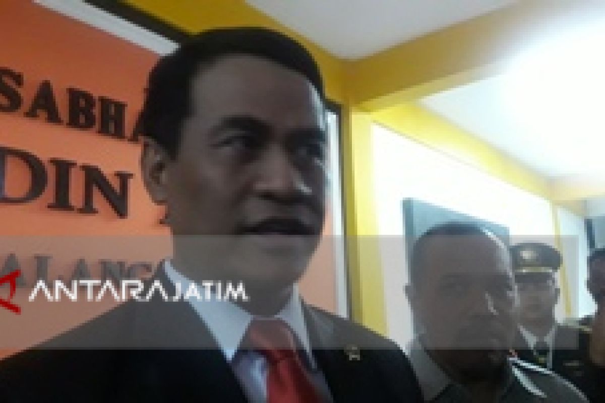 Mentan: Pertanian Lahan Rawa Mengarah ke Organik