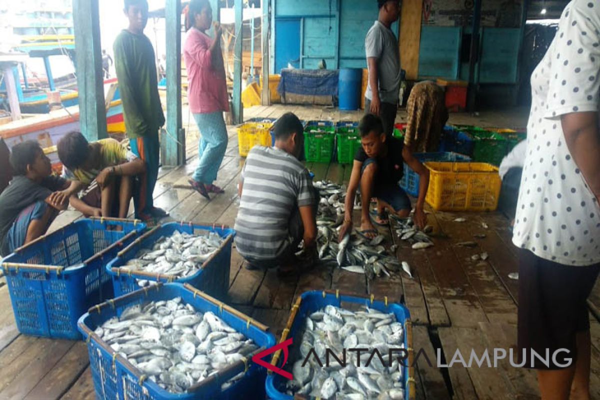 Nelayan Bandarlampung keluhkan limbah laut
