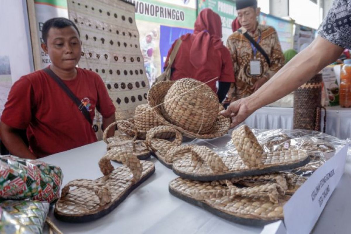 Program OVOP diminta manfatkan sumber daya lokal