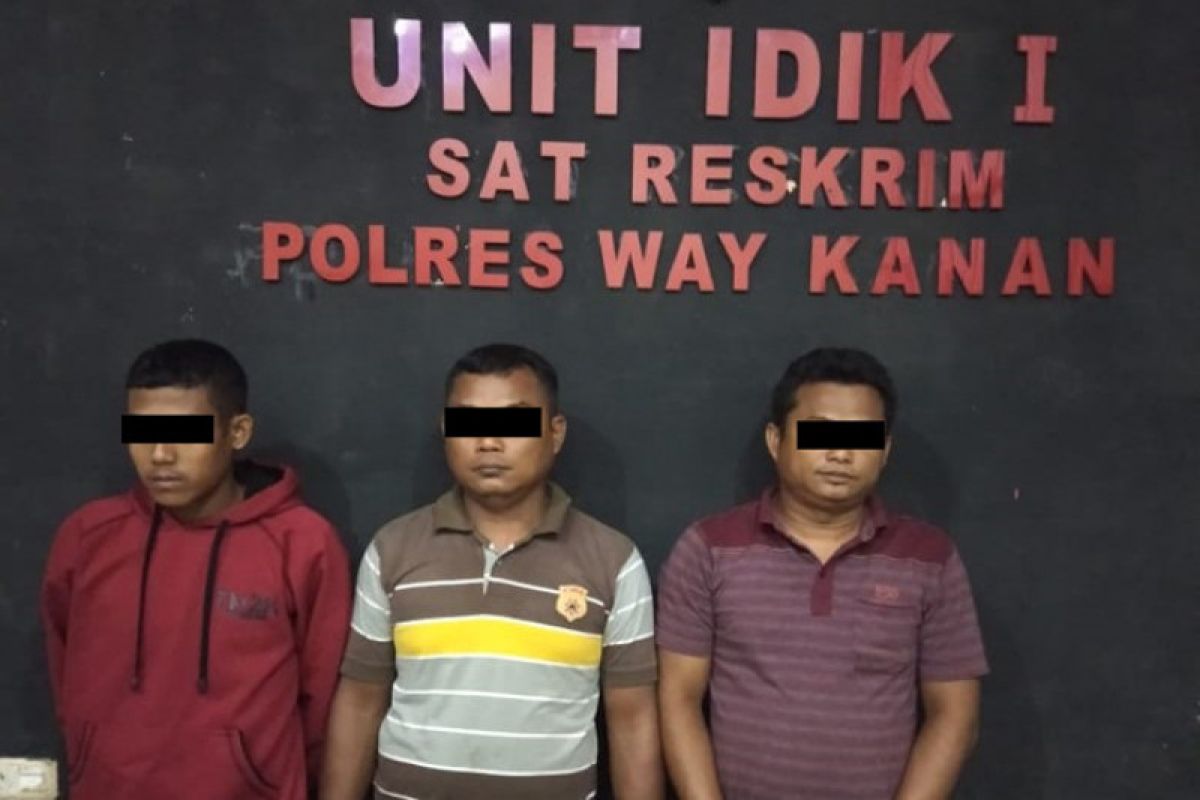 Polres Waykanan tangkap pelaku judi Ludo King