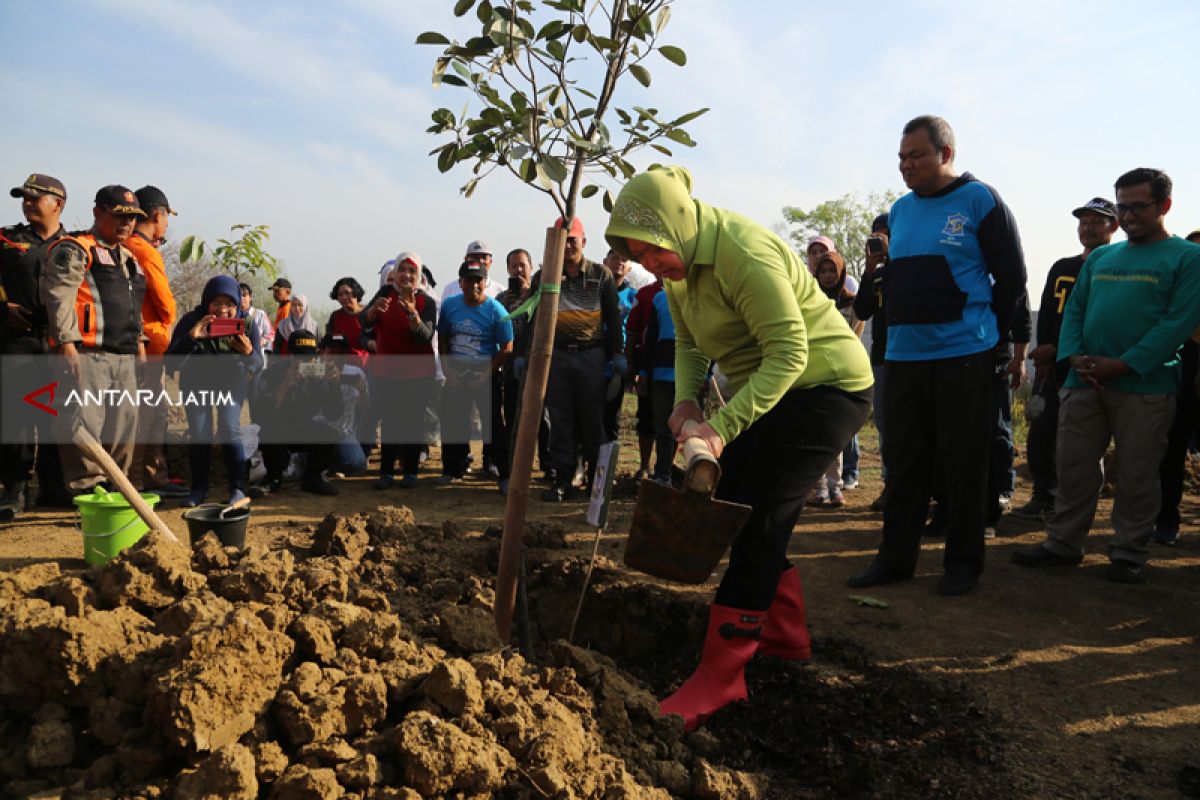 Hutan Kota Tekan Banjir di Surabaya