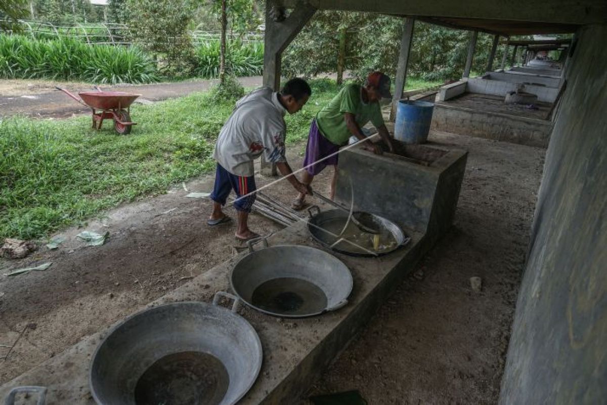 BUMDes berperan tingkatkan ekonomi desa