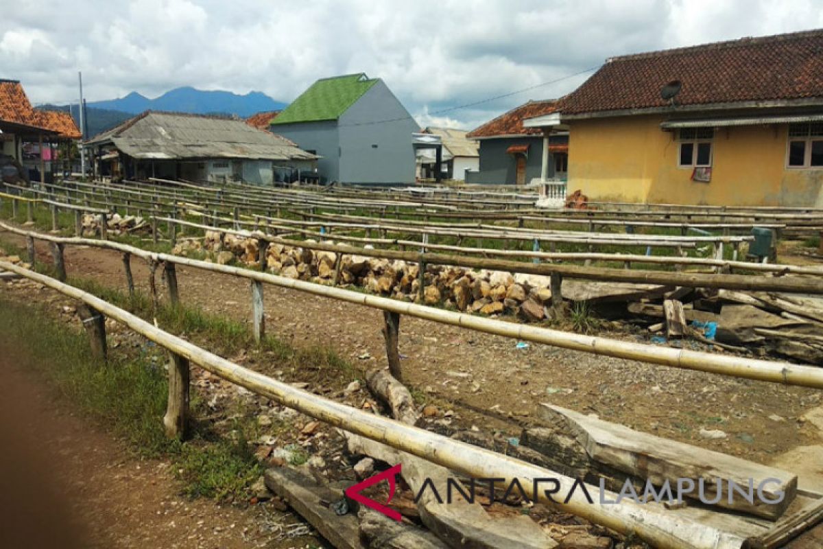 Perajin : Produksi teri asin di Pulau Pasaran berangsur pulih