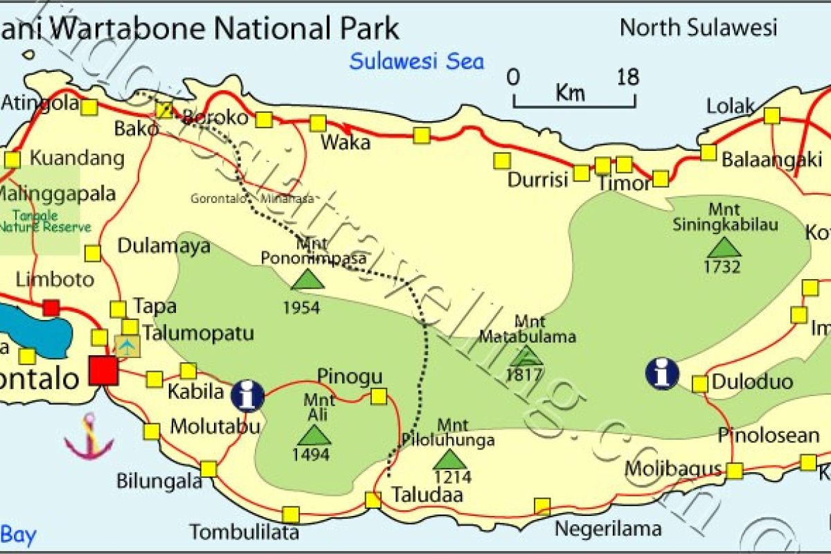 Petualangan Jelajah Hutan Pinogu Bone Bolango Dimulai