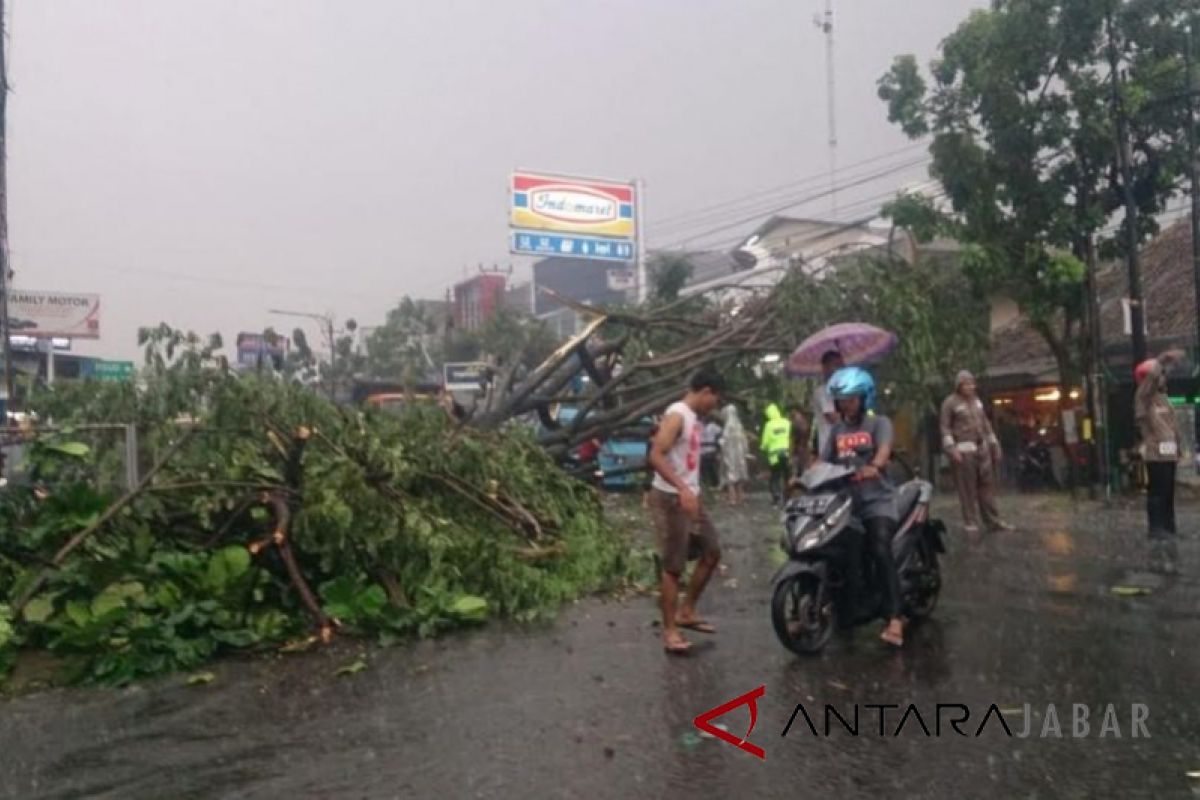 Angin Langkisau terjang sejumlah wilayah Banyumas