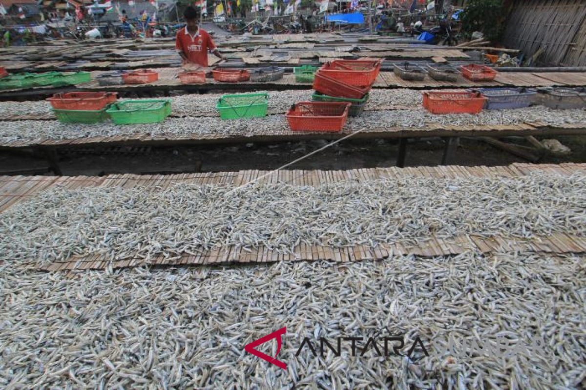 Panen raya, harga ikan air tawar di Agam turun