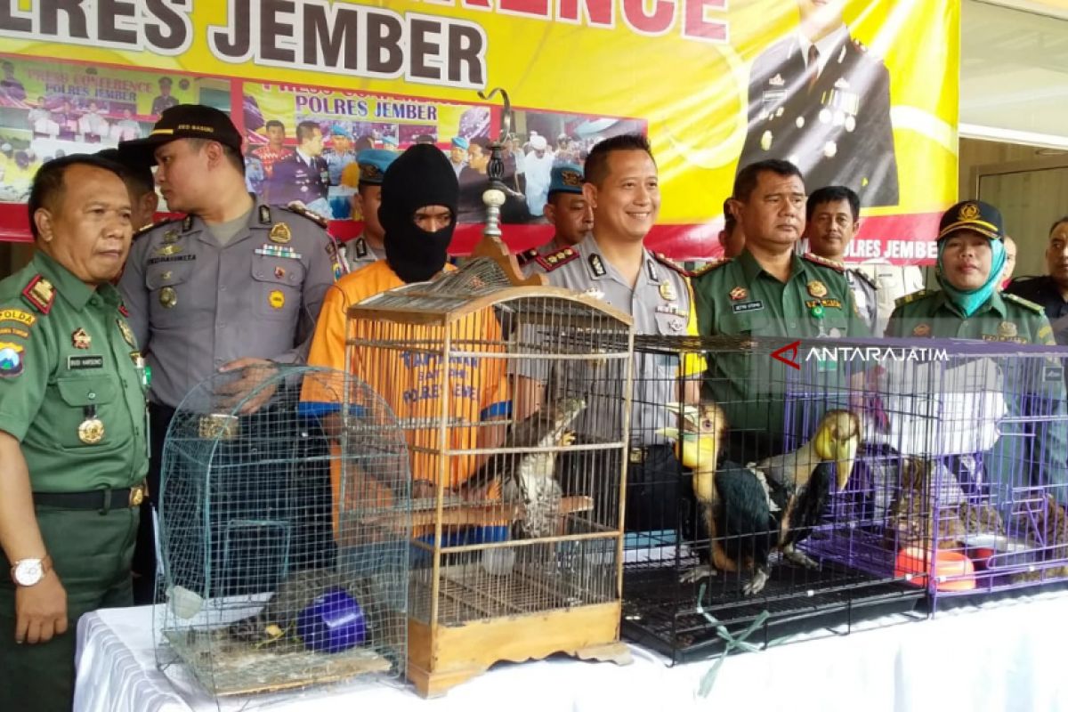 Polres-BKSDA Jember Gagalkan Perdagangan Satwa Langka yang Dilindungi (Video)