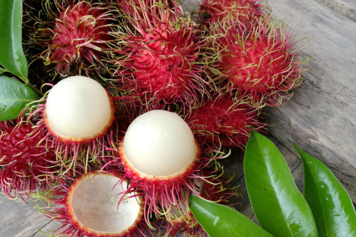 Rambutan "buah super" yang banyak manfaat