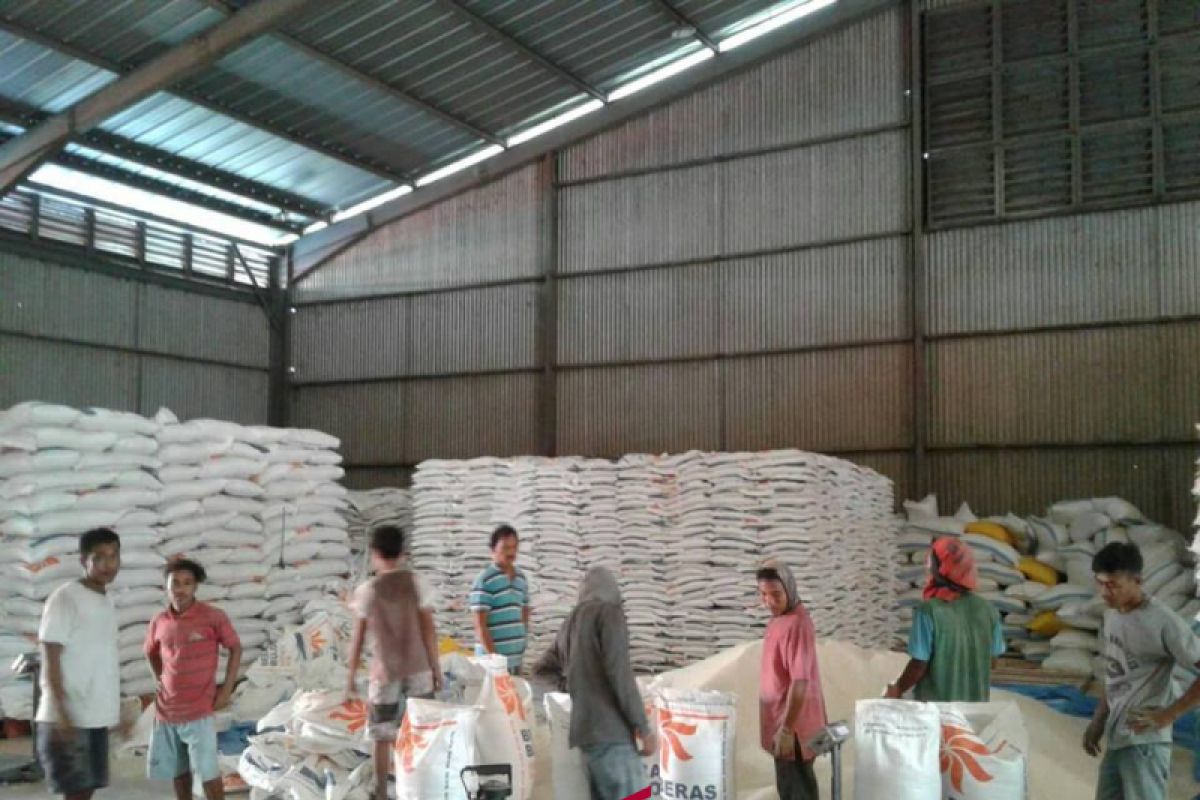 Bulog Sulteng: penyerapan beras masih di bawah target