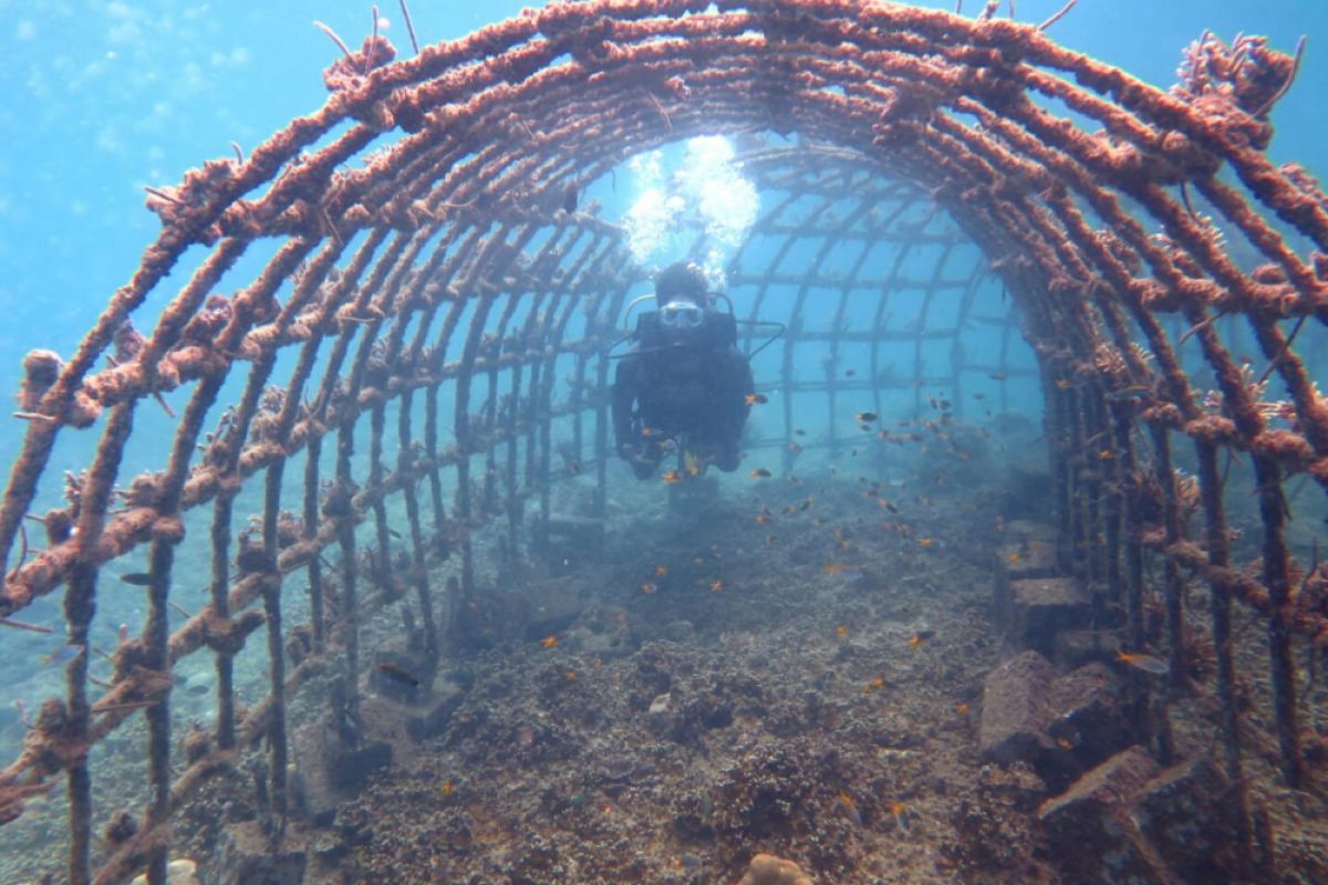 Menanam harapan di laut Pariaman