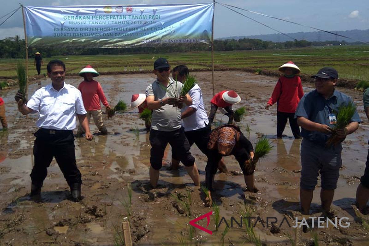 Kementan imbau petani Banyumas tanam padi serentak