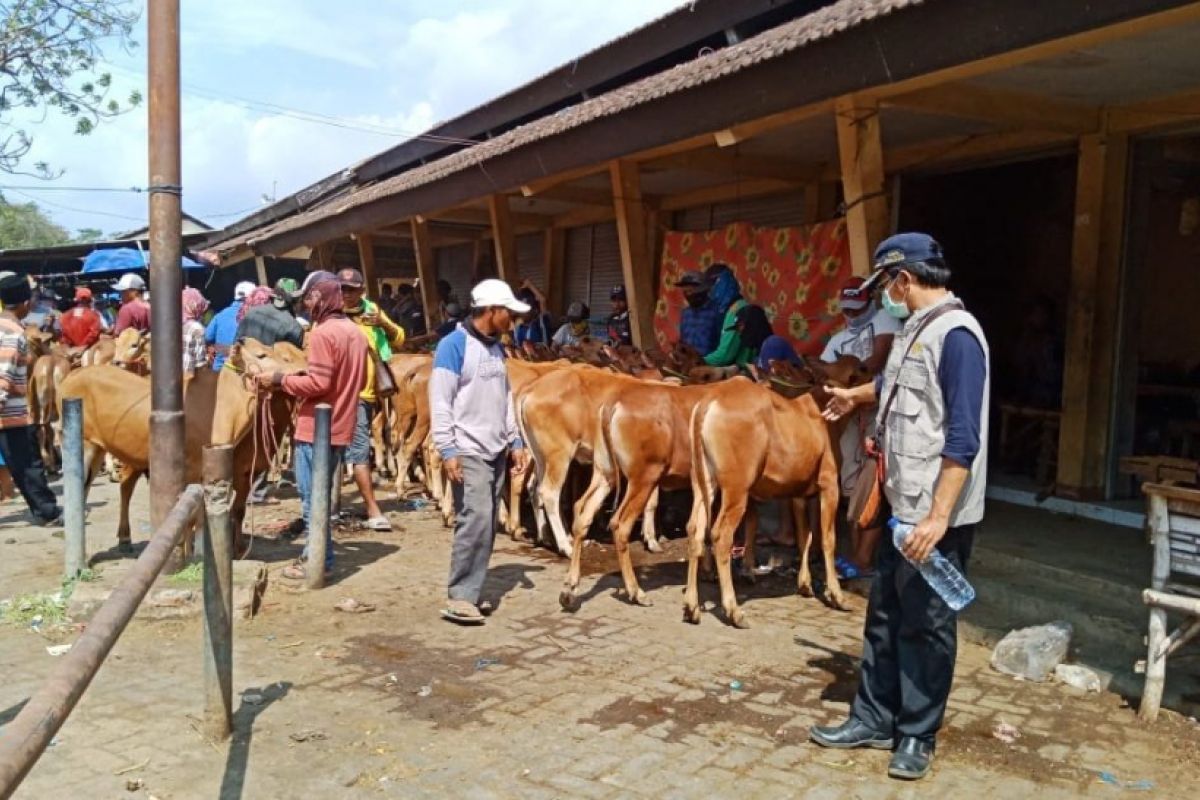 Dukung Ketahanan Pangan, Probolinggo Tingkatkan Populasi Ternak