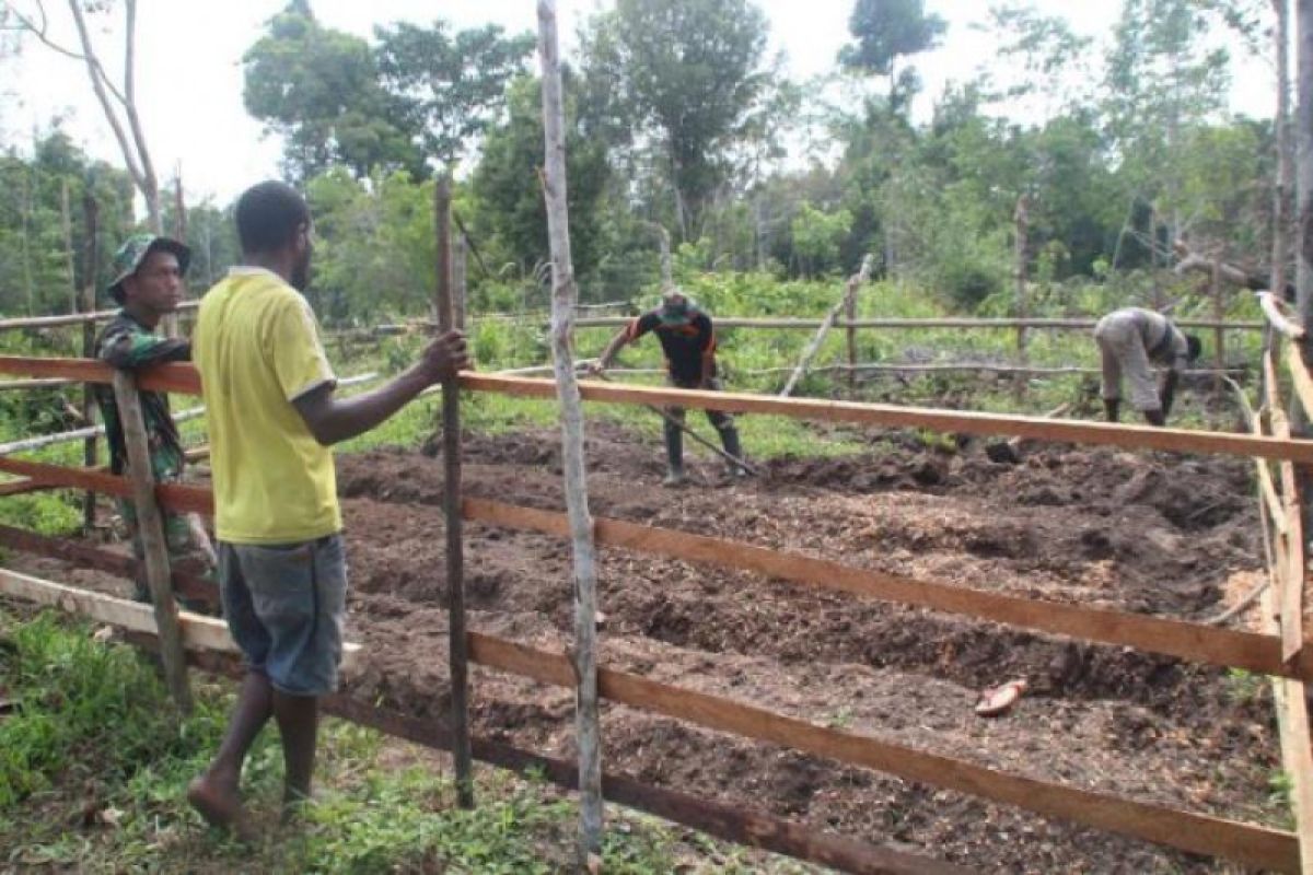 Satgas TMMD Kodim Merauke ajak warga Bifo manfaatkan pekarangan untuk berkebun