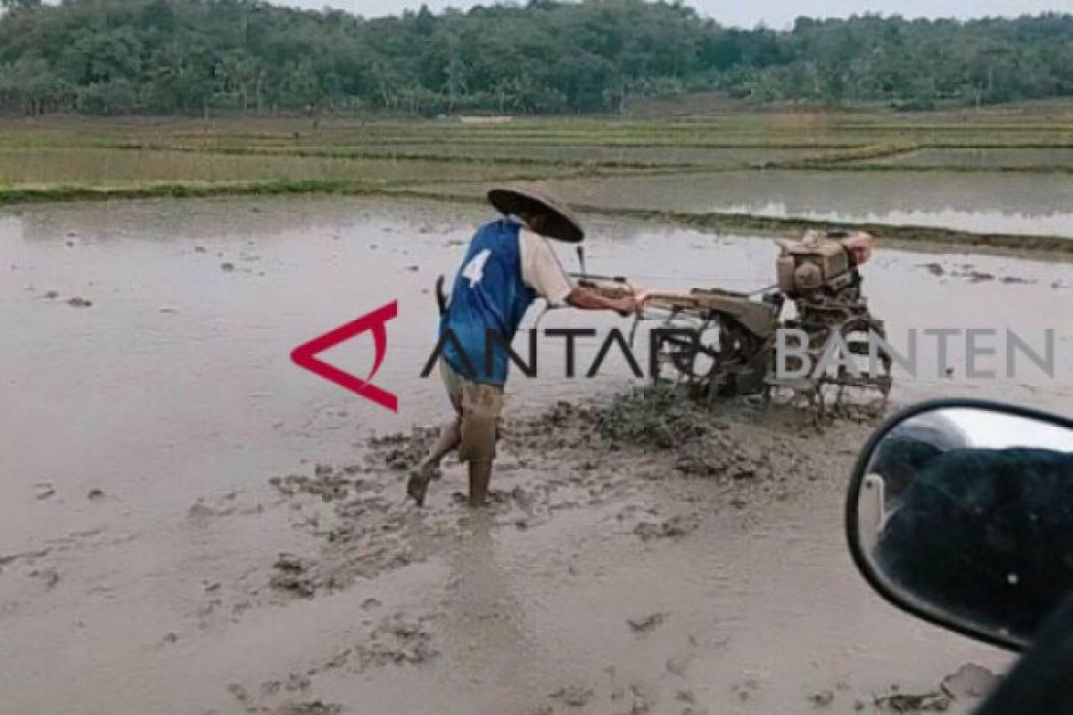 Distanbun Lebak Dorong Petani Gunakan Teknologi Alsintan