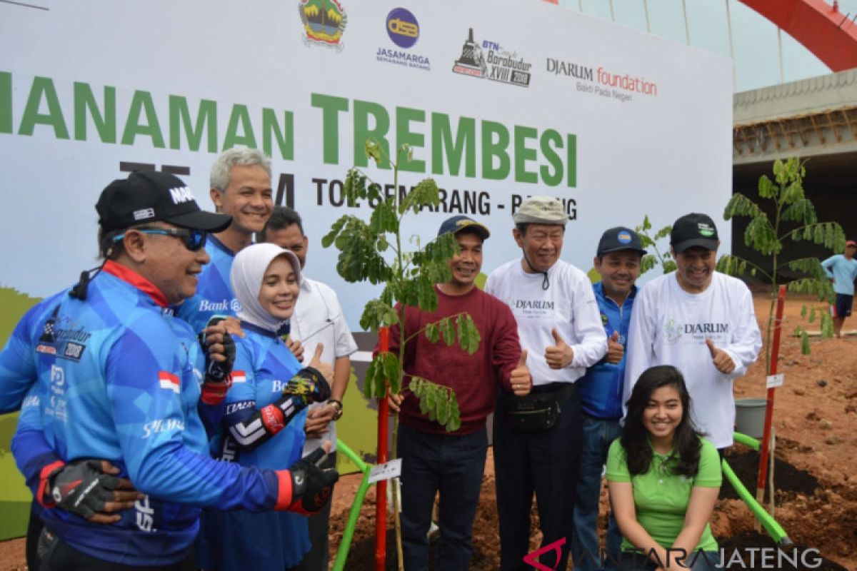 Ribuan pohon trembesi ditanam sepanjang tol Batang-Semarang