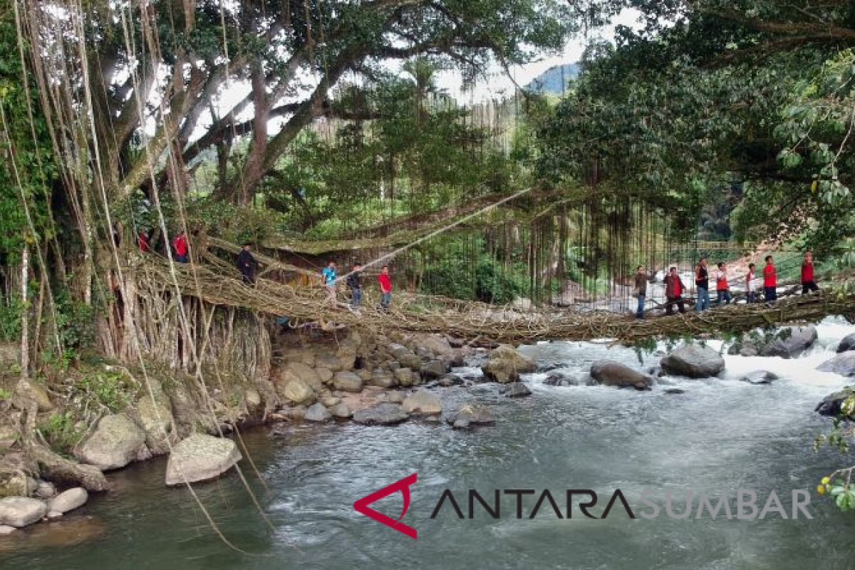 Pohon Tumbang di Objek Wisata Jembatan Akar telah dibersihkan