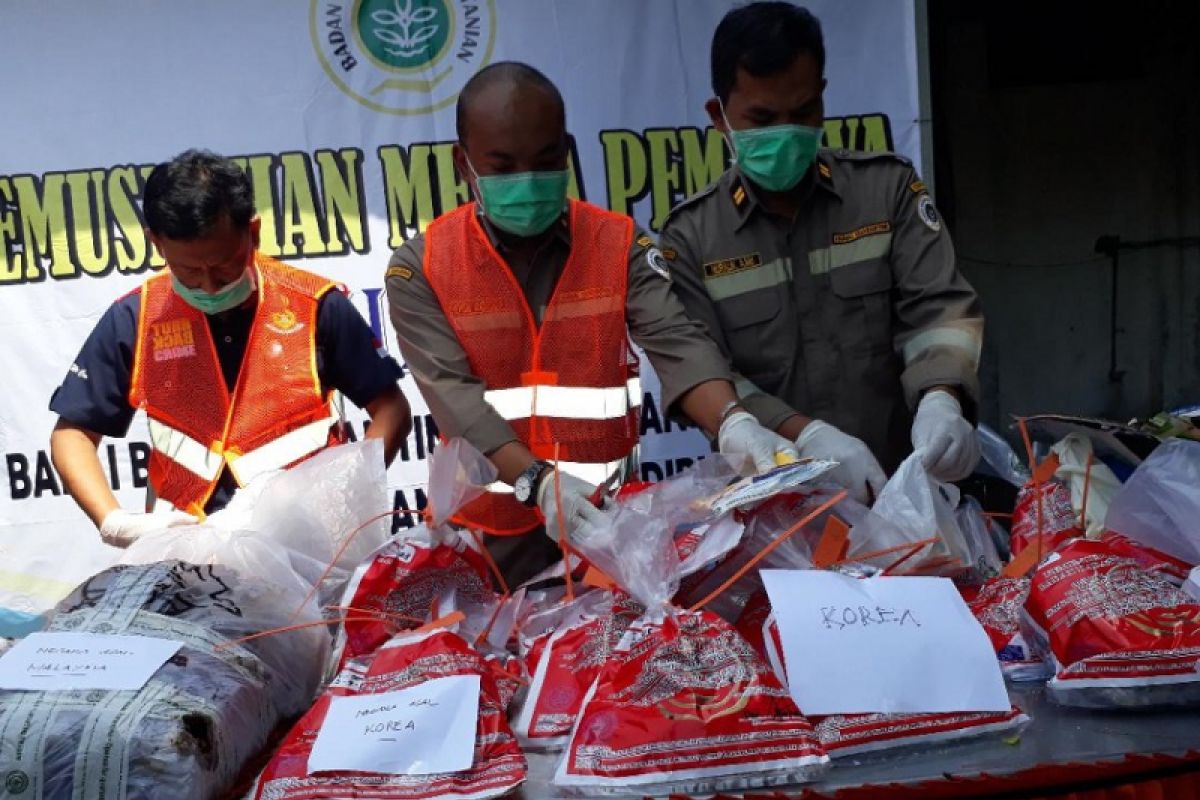 Di Kediri, Balai Karantina Musnahkan Bibit Tanaman dan Daging Hasil Sitaan