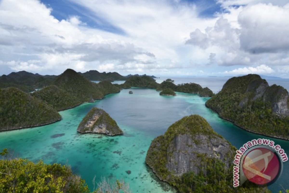 Hiu turut sumbang kelangsungan pariwisata Raja Ampat