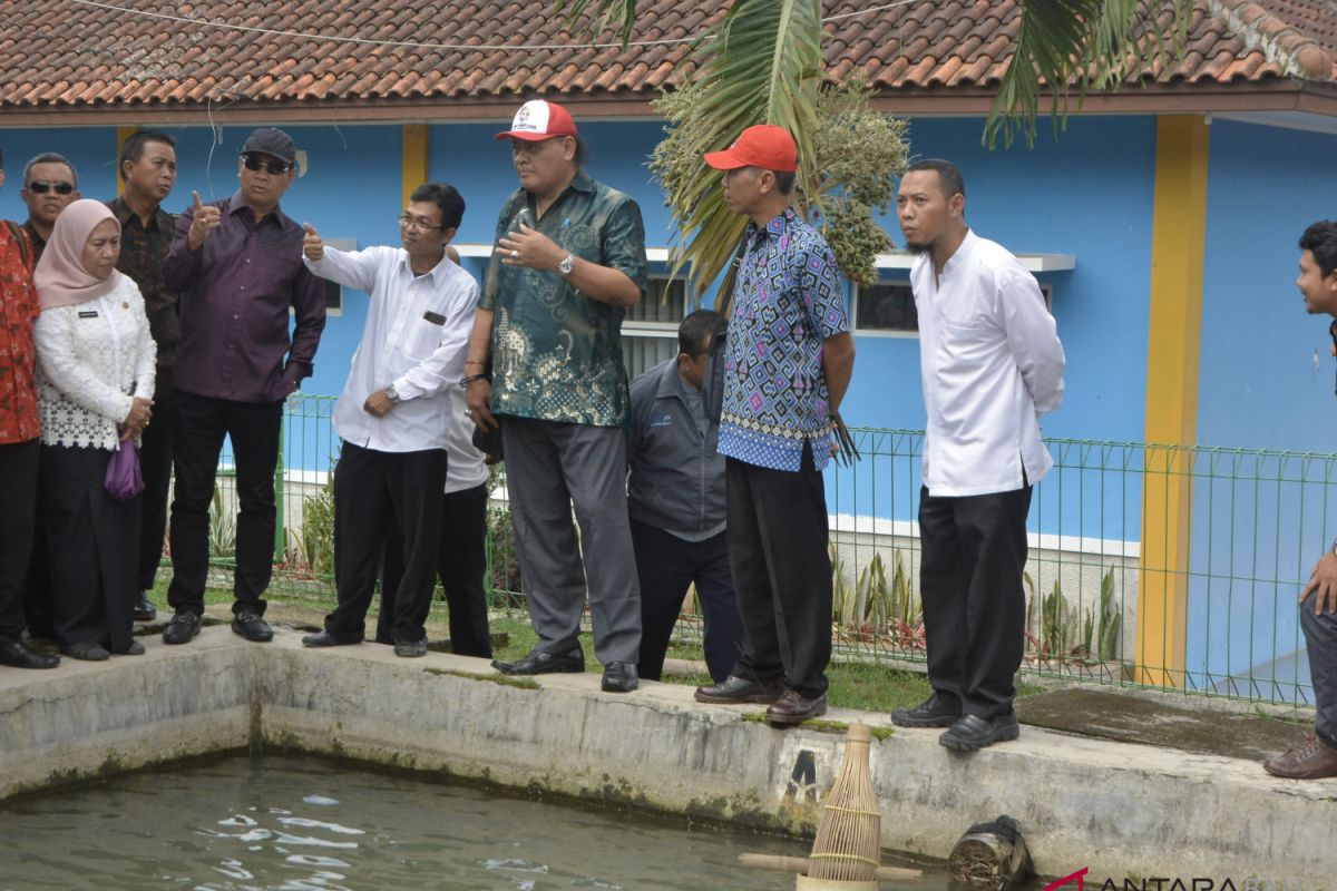 Badung pelajari budidaya perikanan air tawar Purwakarta