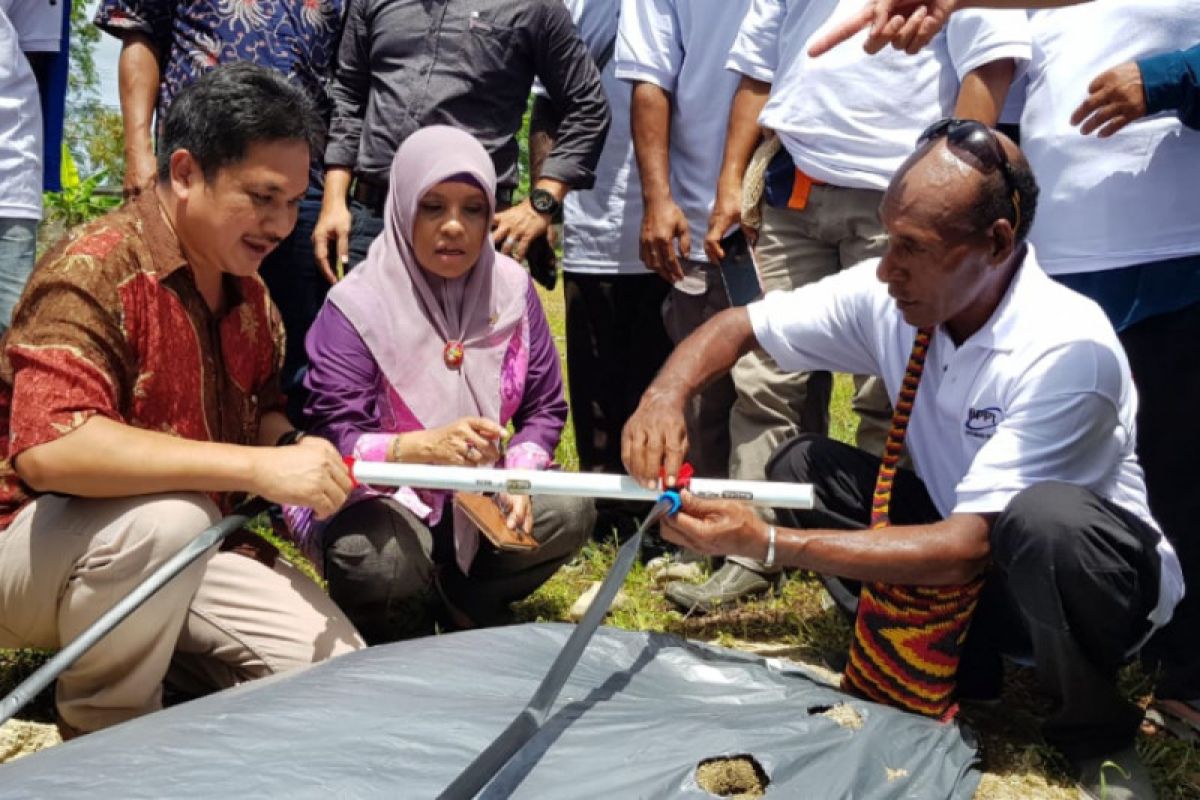 BPPT kembangkan teknologi mikro irigasi untuk hortikultura