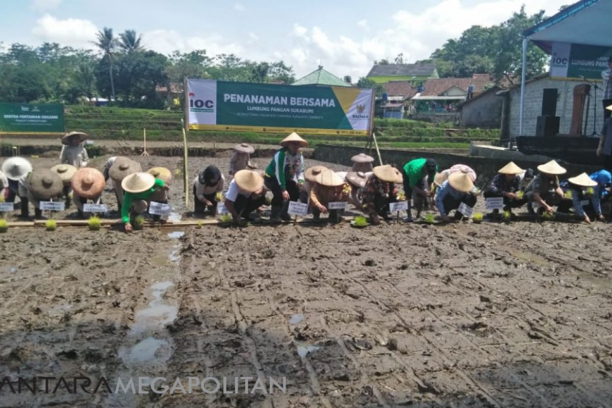 Baznas resmikan Lumbung Pangan di Sukabumi