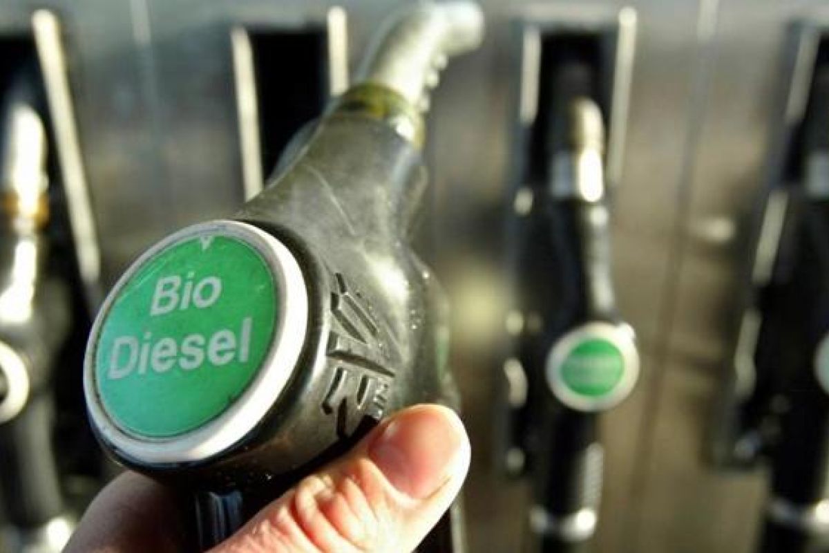 Harga biodiesel turun, bioetanol naik tipis