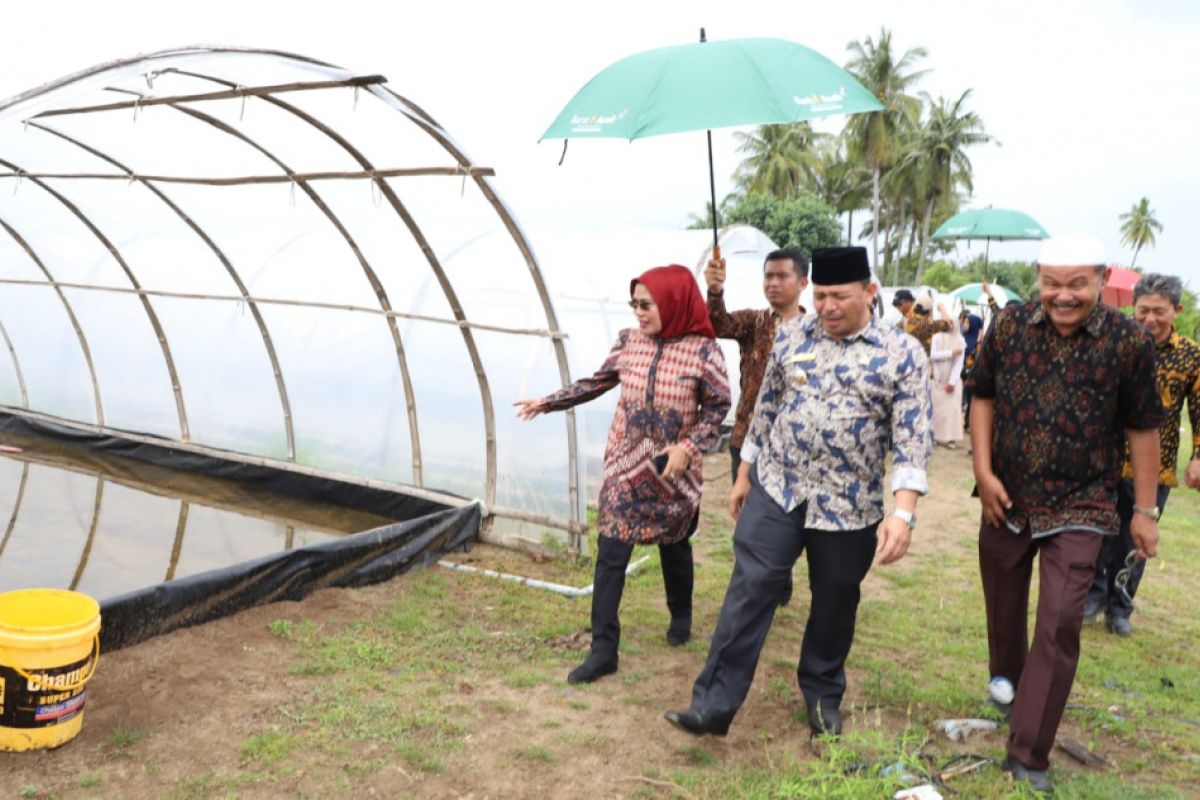 Pemkab Serang Adopsi Budidaya Garam Pidie Jaya