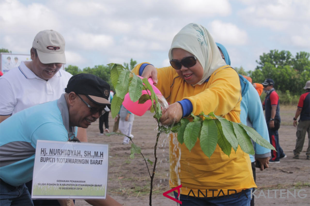 Pemkab Kobar tanam 10 ribu pohon Wujudkan 'Green City'