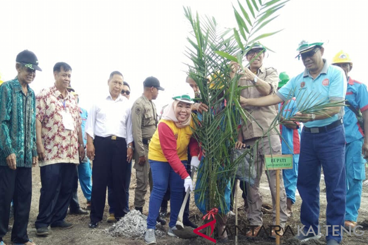 Perkebunan sawit penyangga ekonomi nasional dan daerah, kata Bupati Kobar