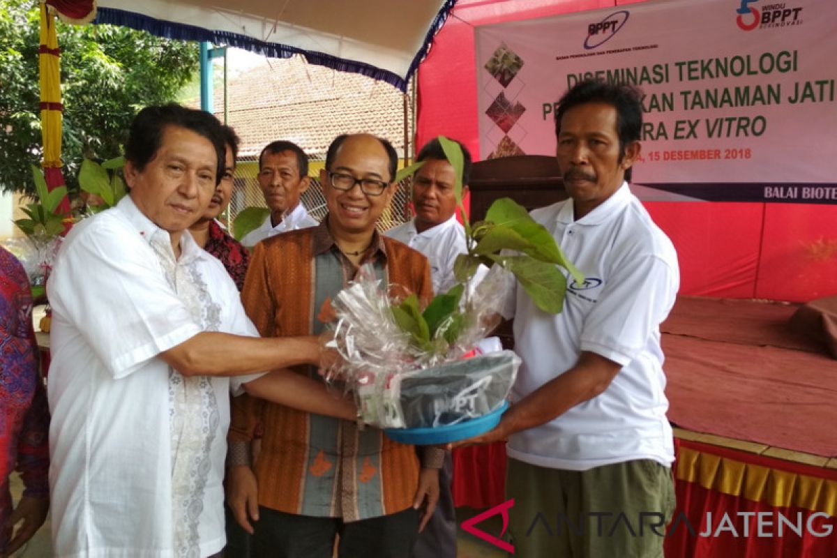 Sebagai Kota Ukir, Jepara didorong perbanyak tanam Jati