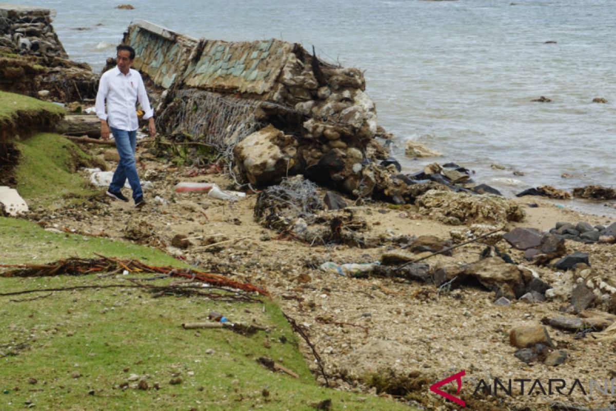 TNI-Polri akan pantau dampak tsunami dari laut, kata Presiden