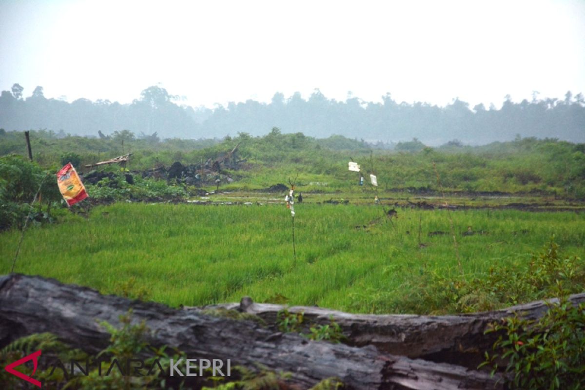 DPKP Lingga putuskan kontrak dengan kontraktor pengadaan pupuk