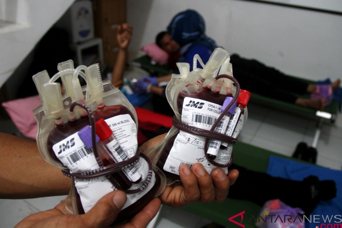 PMI Rejang Lebong  bentuk kampung donor darah