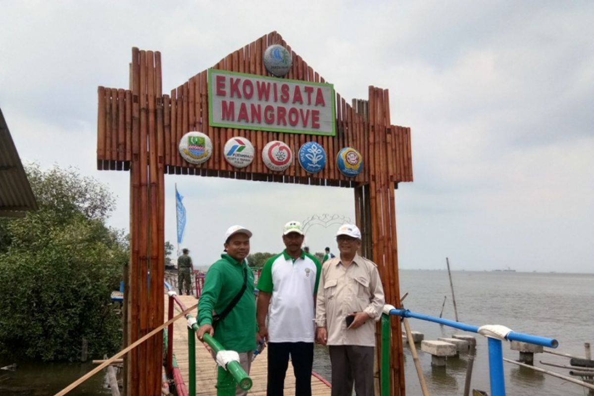Sempat ditutup, ekowisata mangrove di Muaragembong Bekasi kini kembali dibuka