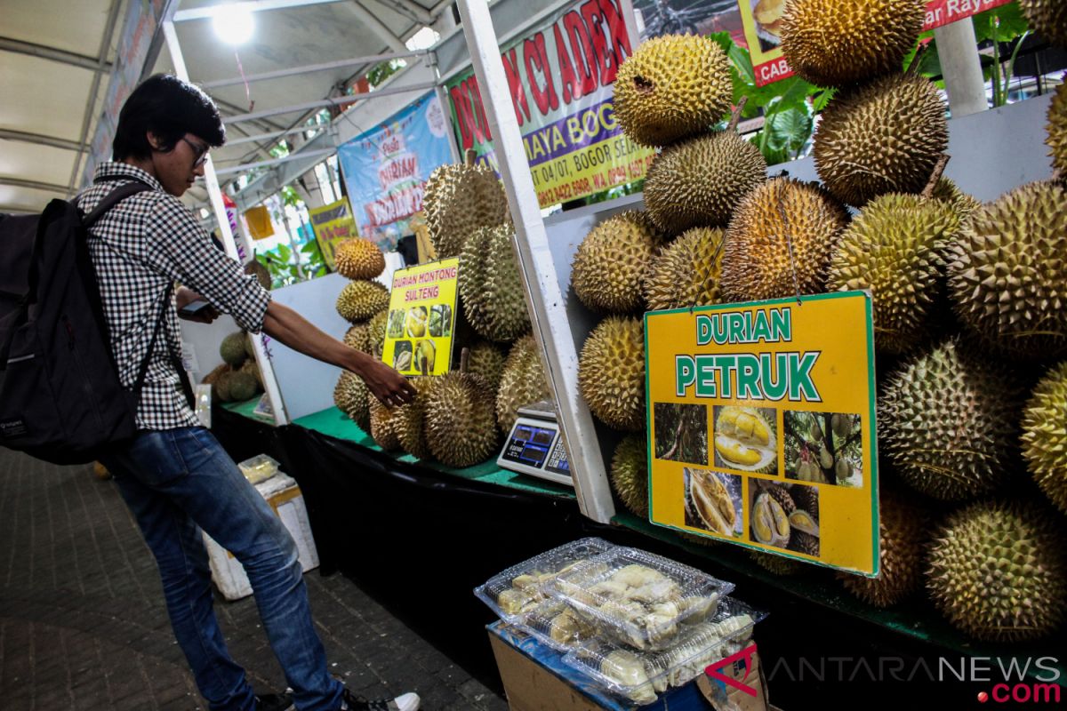 Hari ini, pameran durian hingga seni rupa di Jakarta