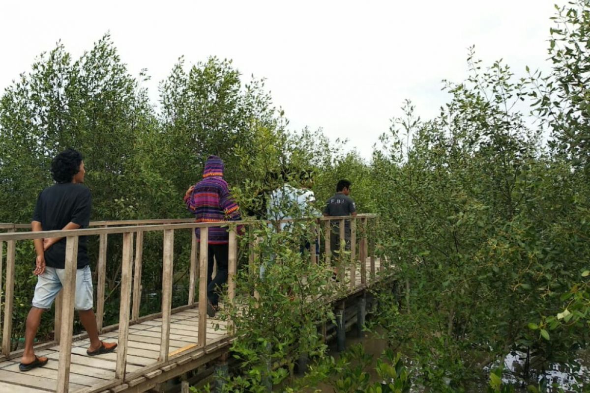 Wilayah pesisir Karawang jadi ekowisata mangrove