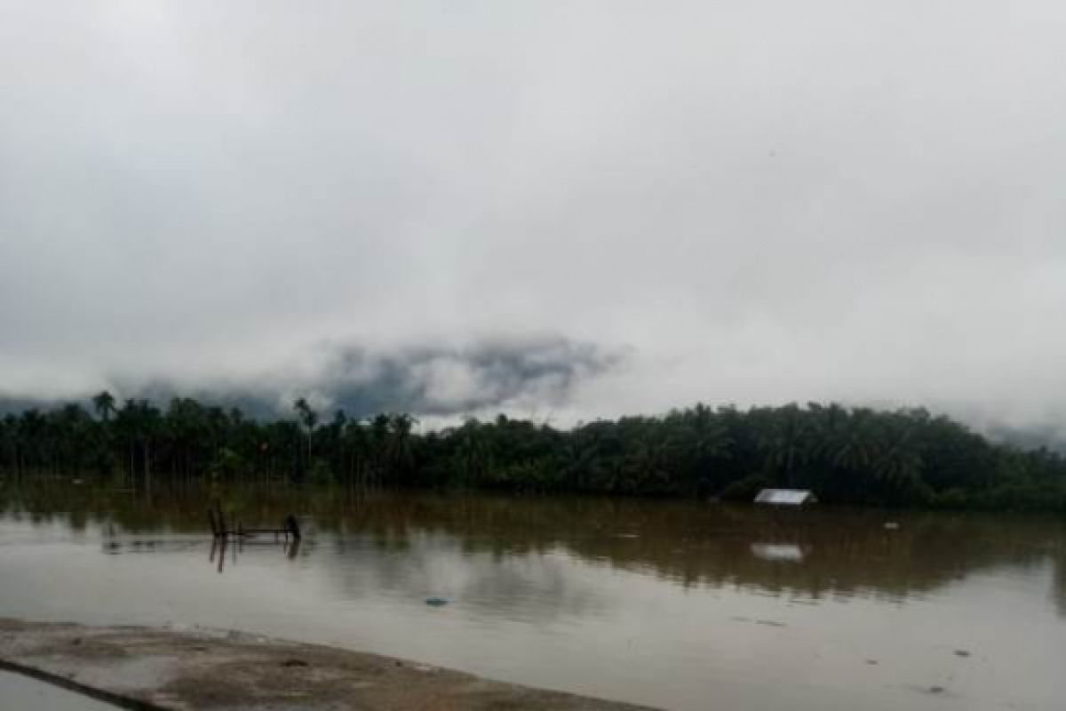Ratusan hektare sawah di Tapsel terendam