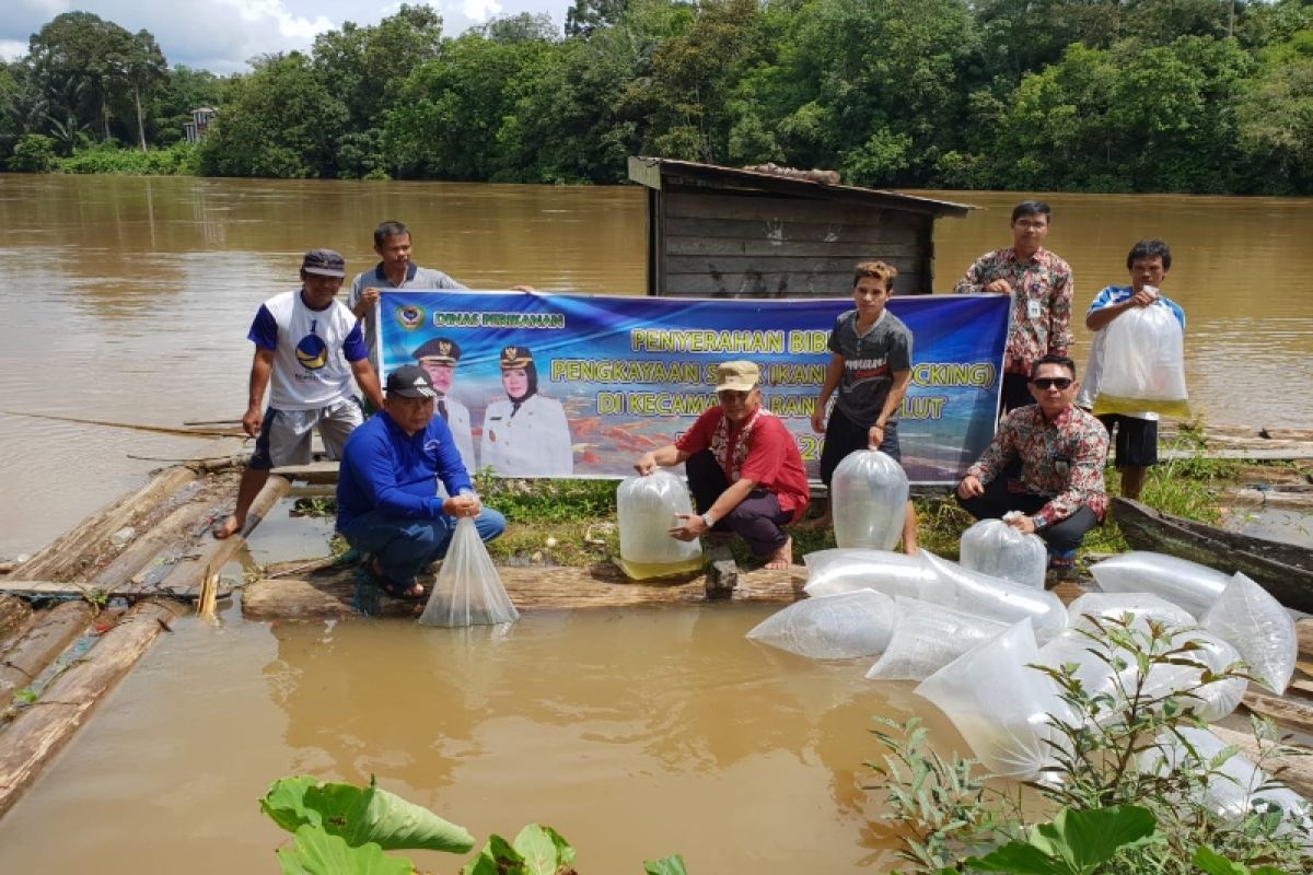 Dinas Perikanan Seruyan tebar benih ikan atasi penurunan hasil tangkapan