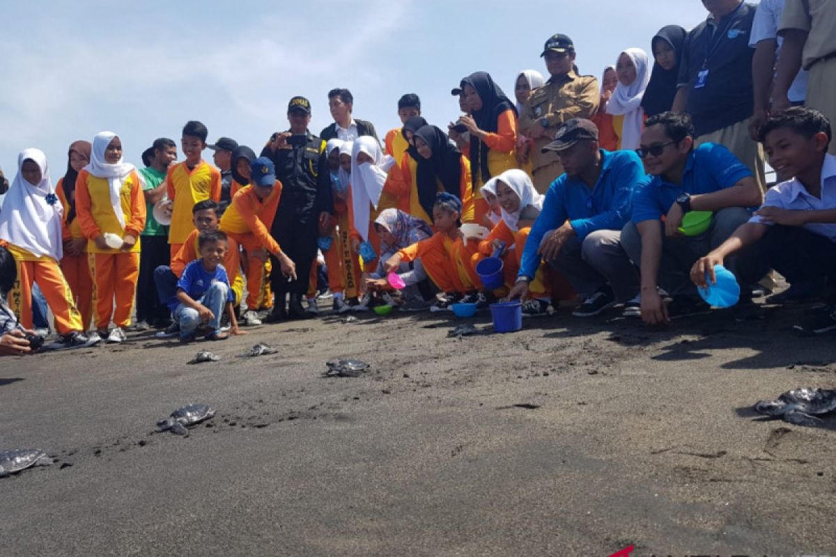 PLN Nusra lepasliarkan penyu di Pantai Mapak Mataram