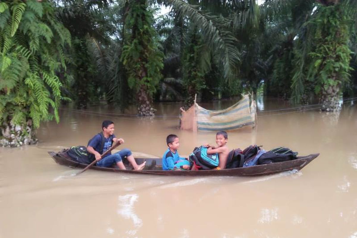 Luapan air Sungai Batangtoru rendam puluhan rumah di Tapsel