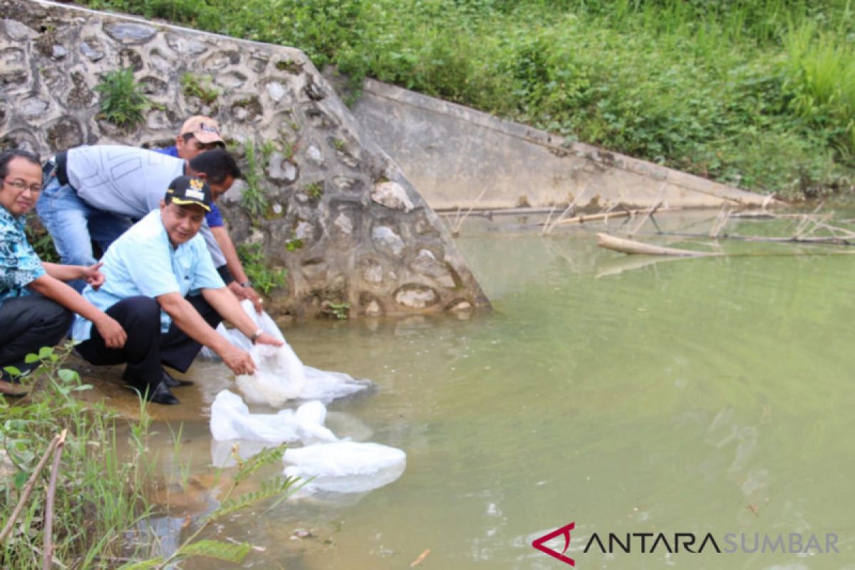 Solok bagikan 50.000 bibit ikan