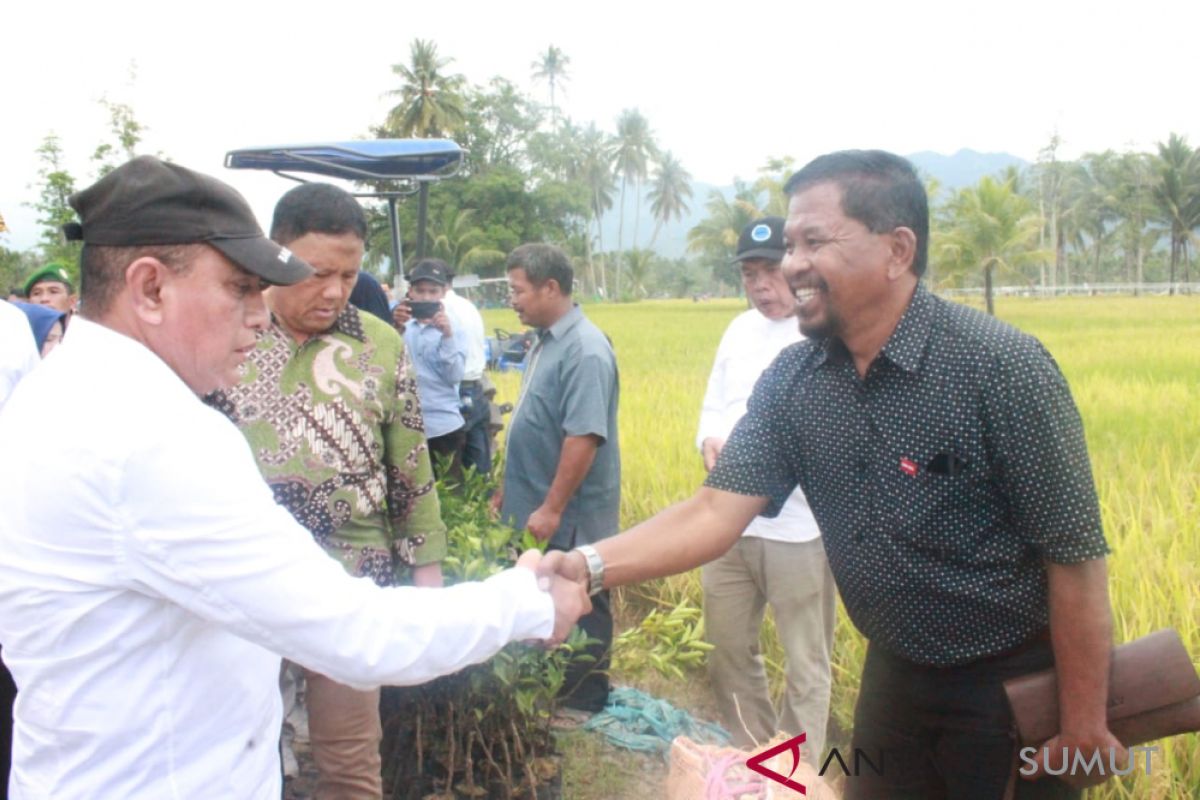 Gubernur Sumut dan Dirjen Tanaman Pangan panen raya di Madina