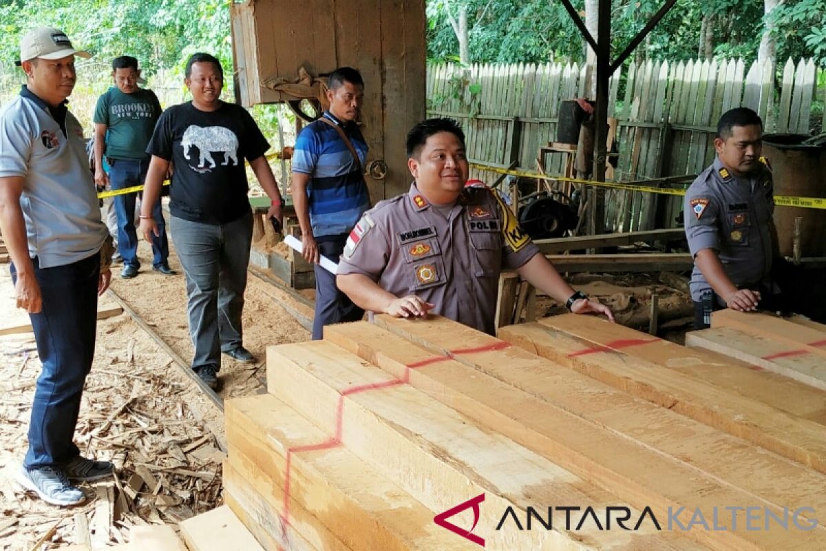 Polres Kotim temukan 260 potong kayu ilegal di penggergajian