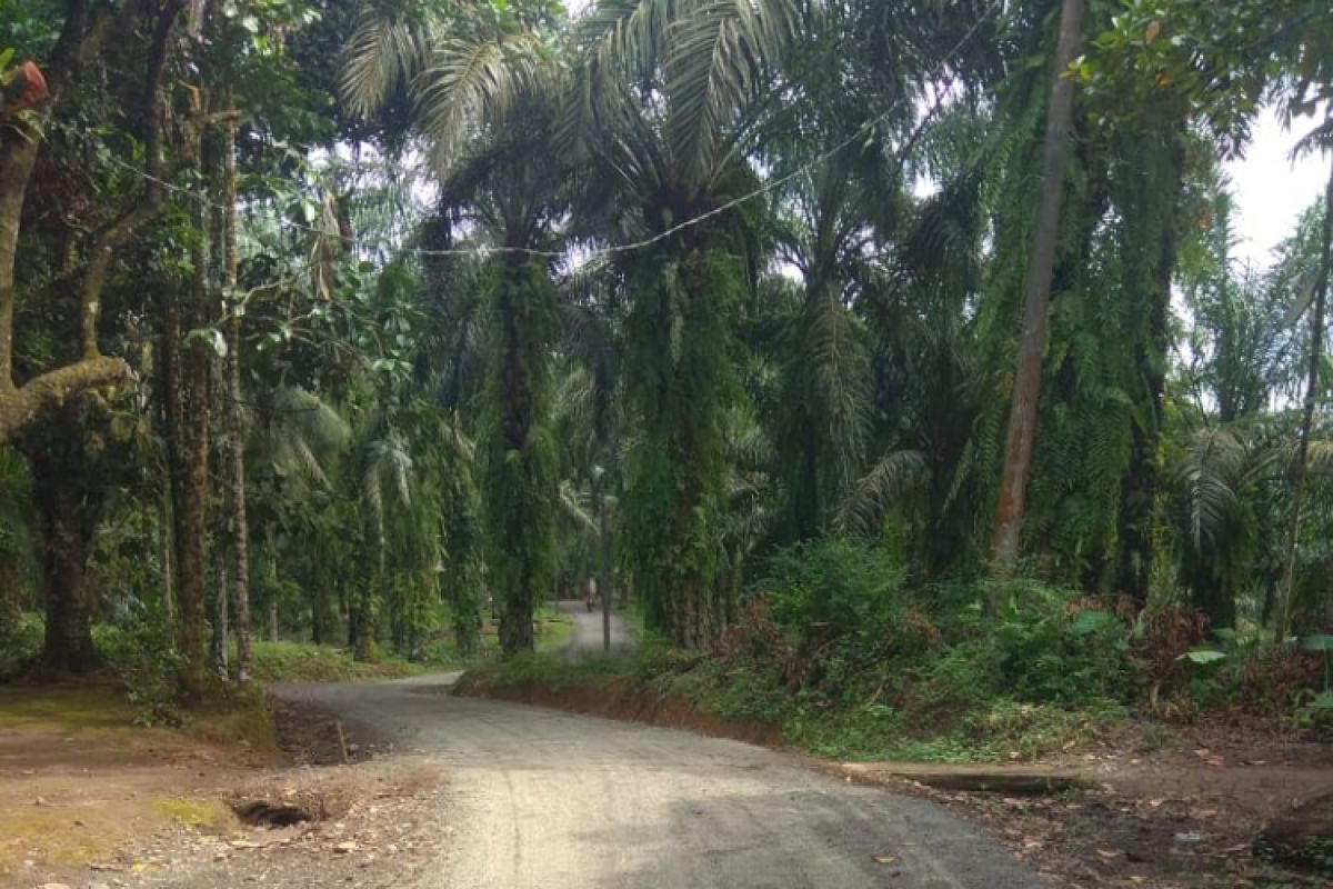 Proyek pembangunan jalan diduga dikerjakan tidak sesuai bestek