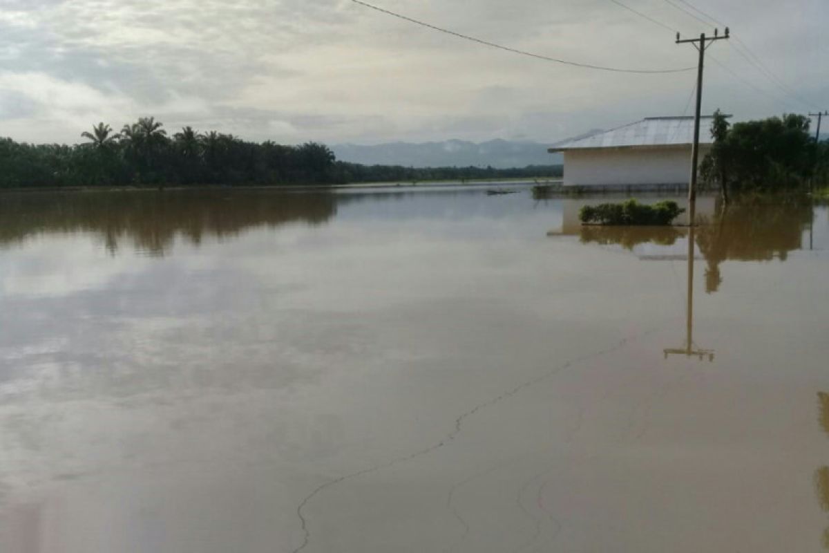 196 hektare sawah di Langkat terendam banjir