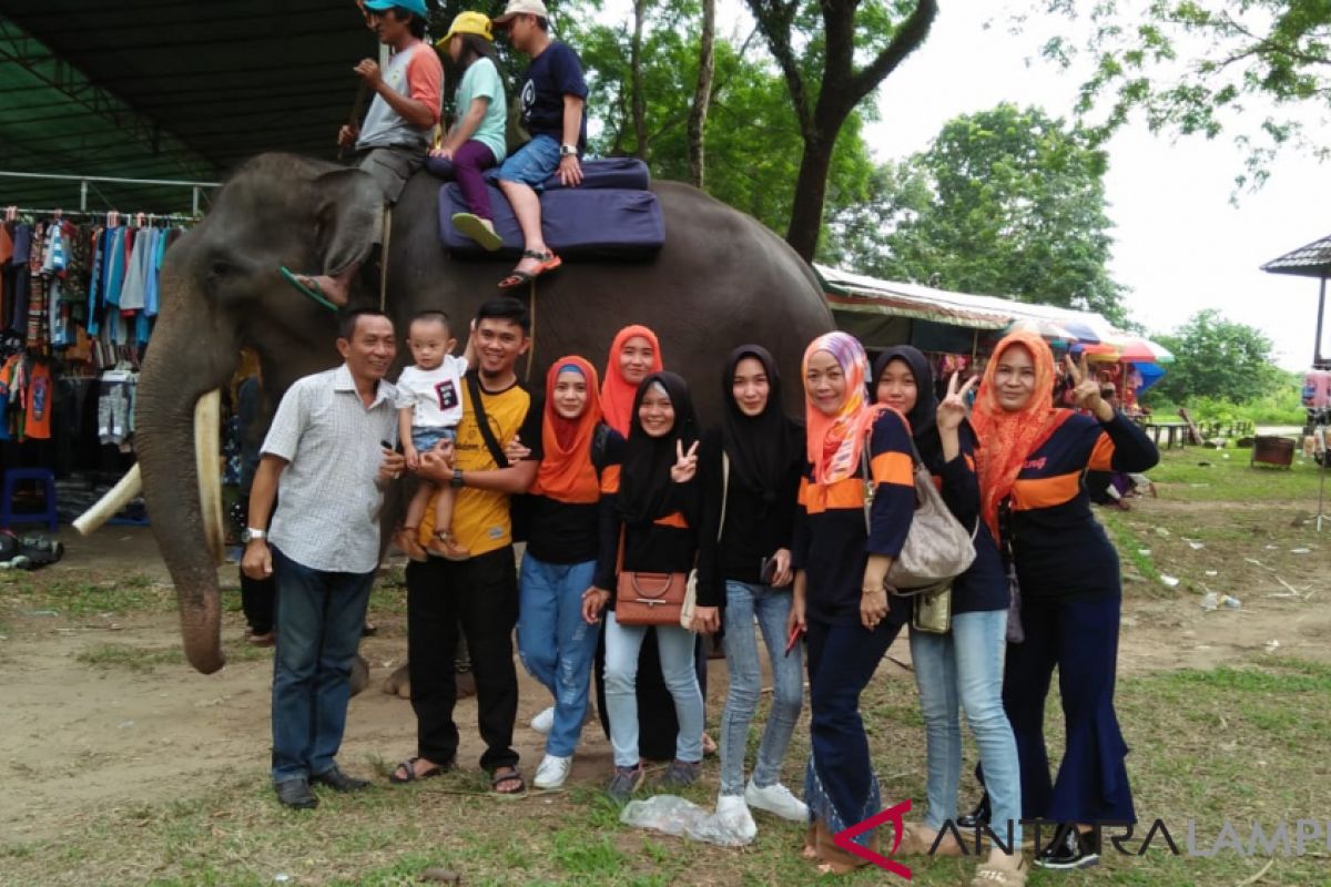 Wisatawan Ramai Kunjungi Way Kambas