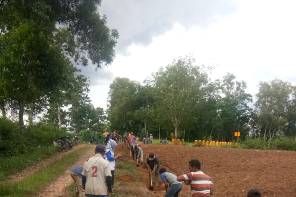 Pemerintah Desa Labuhanratu IX Terapkan Padat Karya Tunai