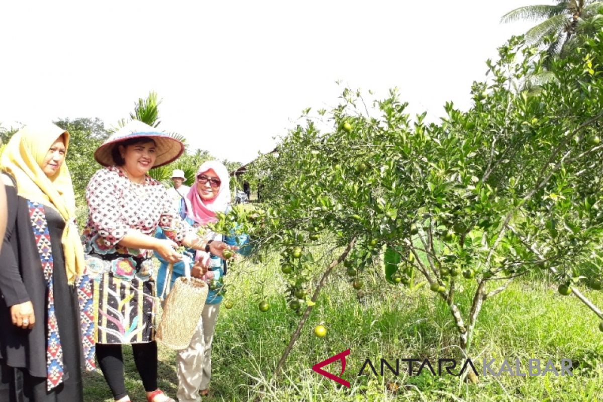 Kalbar dorong pembentukan desa wisata unggulan