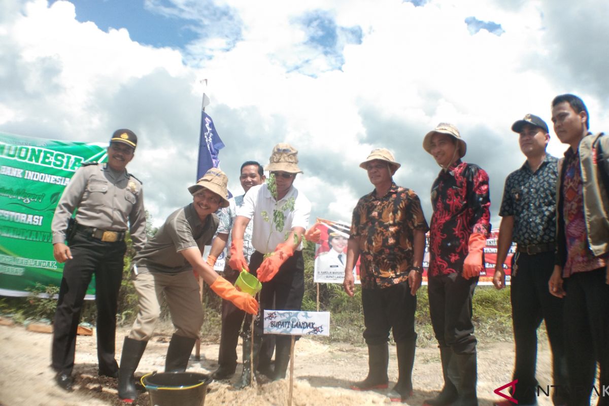 1.000 pohon ditanam di lahan bekas tambang