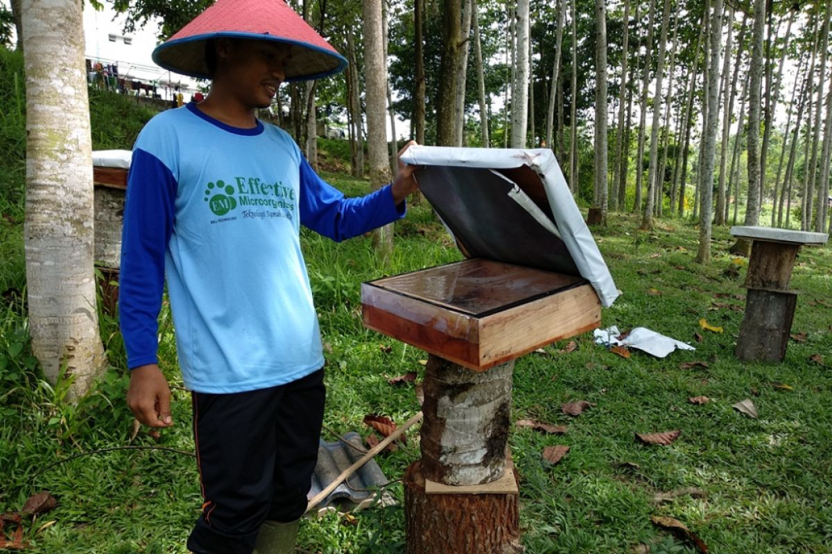 Melihat geliat ekonomi Pondok Pesantren Ma'had Al-Jami'ah